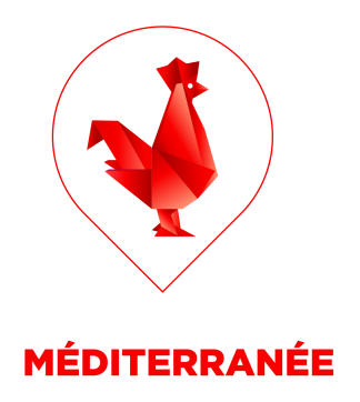 logo french texch